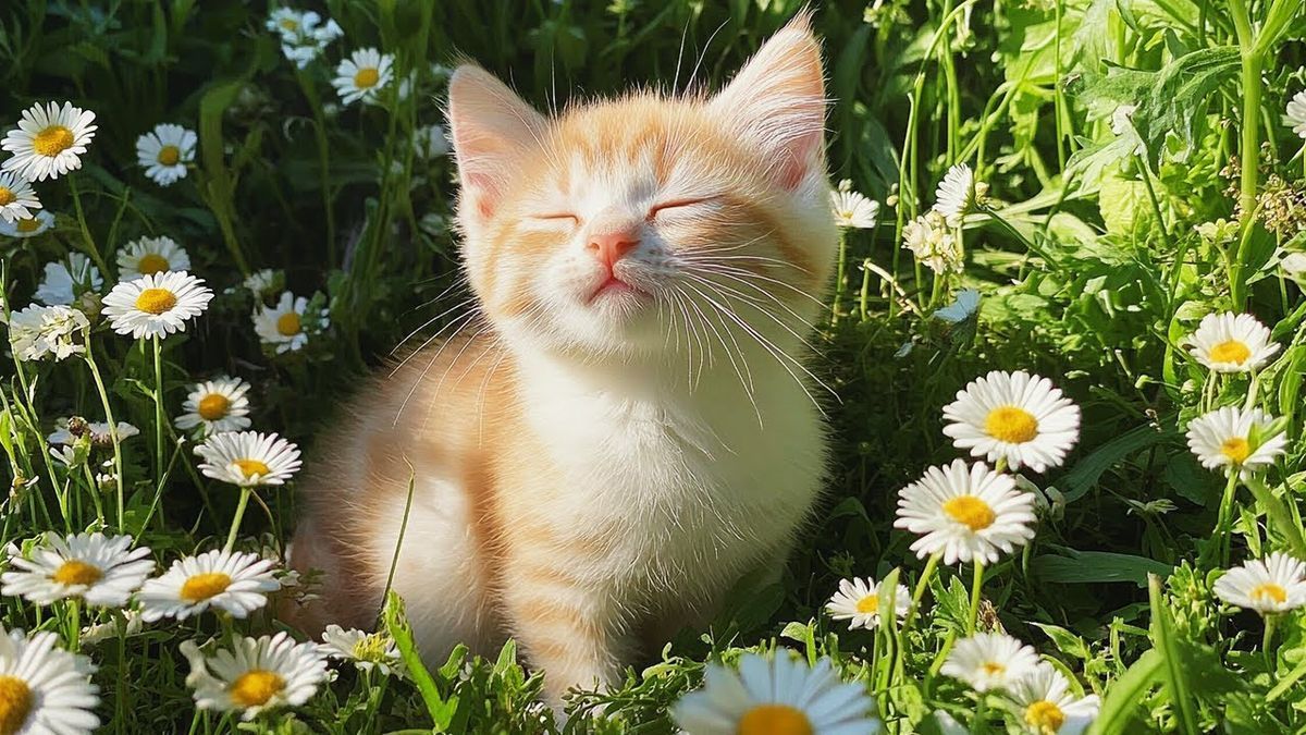 Brainstorming: Mengungkap Ide Tersembunyi